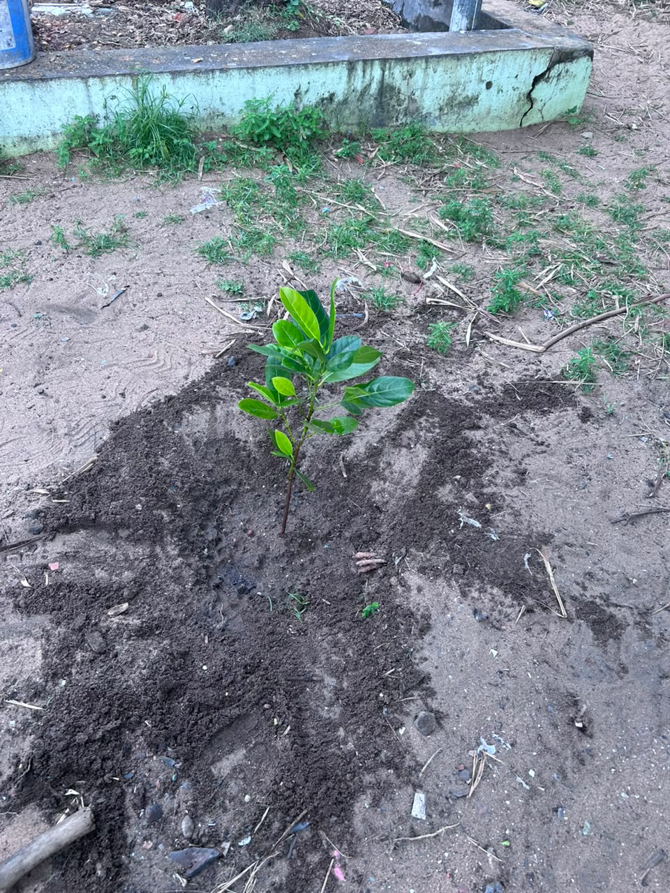 VMJ UPS VALLAKKADAVU